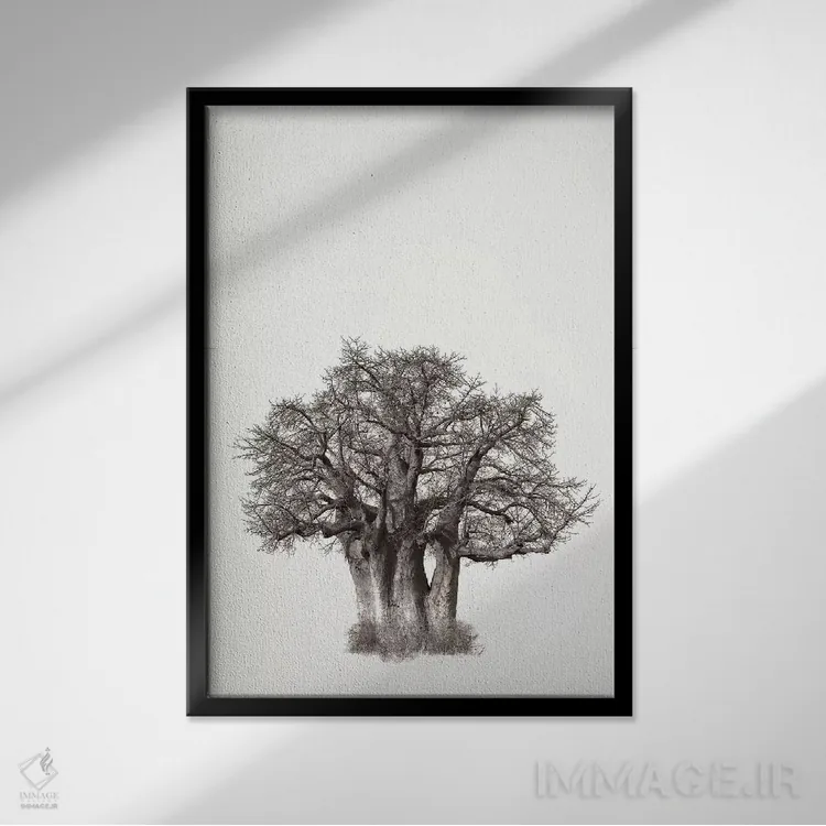 تابلو مینیمال میراث بائوباب ۳ اثر کلاوس تیدگه - نمای قابدار مشکی