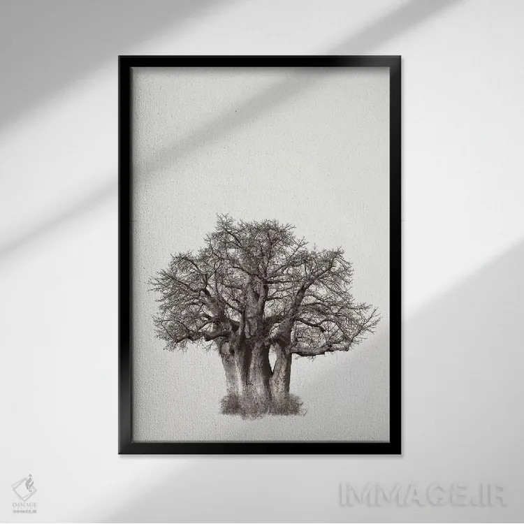 تابلو مینیمال میراث بائوباب ۳ اثر کلاوس تیدگه - نمای قابدار مشکی