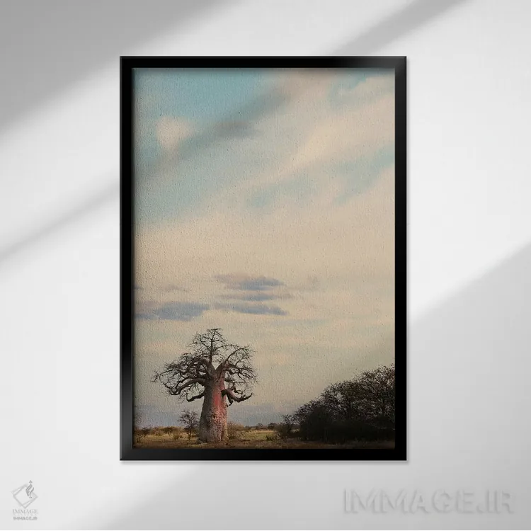 تابلو دکوراتیو بائوباب نای نای III اثر کلاوس تیدگه - نمای قابدار مشکی