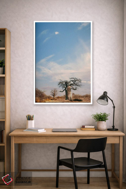 تابلو دکوراتیو بائوباب نای نای II اثر کلاوس تیدگه - D1W