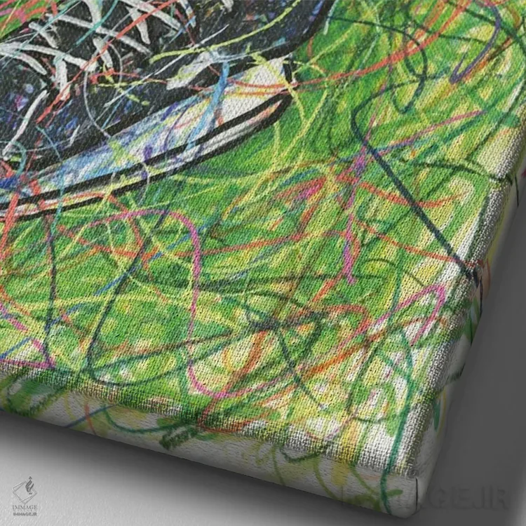 تابلو دکوراتیو اسکیت هاکی اثر کیت سلام - نمای نزدیک بافت بوم