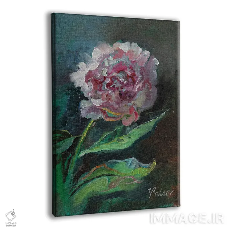 تابلو دکوراتیو گل صدتومانی صورتی اثر کاتارینا والوا - نمای پرسپکتیو محصول