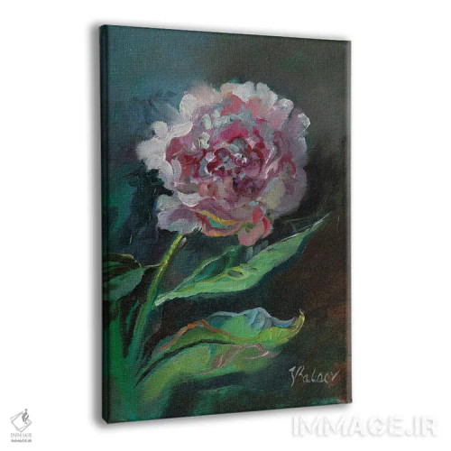 تابلو دکوراتیو گل صدتومانی صورتی اثر کاتارینا والوا - نمای پرسپکتیو محصول