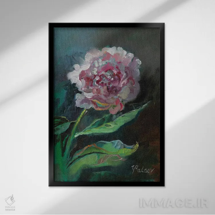 تابلو دکوراتیو گل صدتومانی صورتی اثر کاتارینا والوا - نمای قابدار مشکی