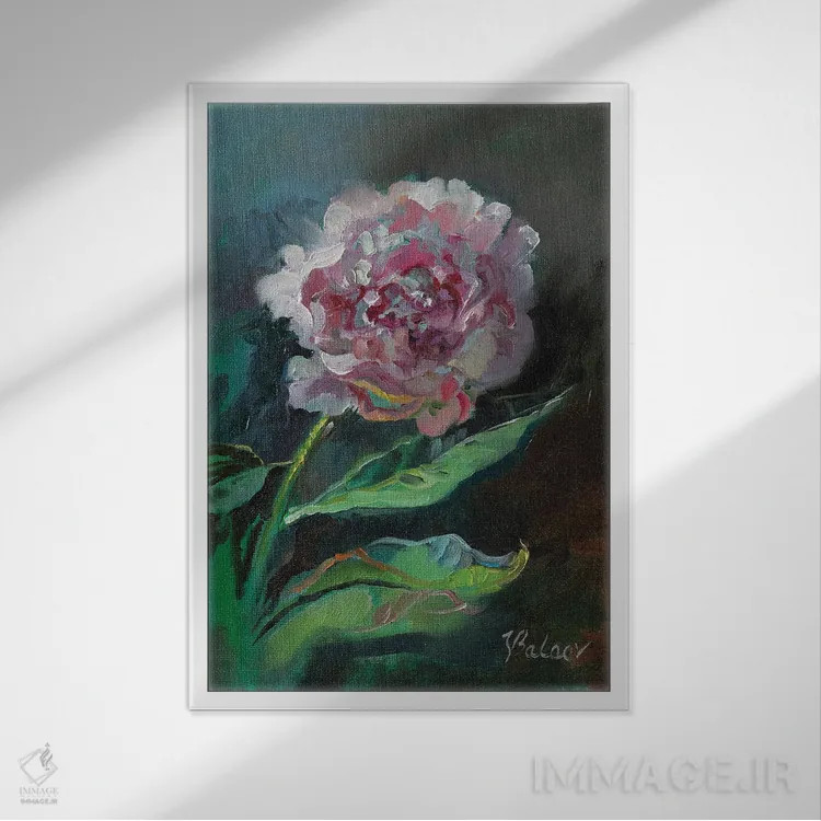 تابلو دکوراتیو گل صدتومانی صورتی اثر کاتارینا والوا - نمای قابدار سفید