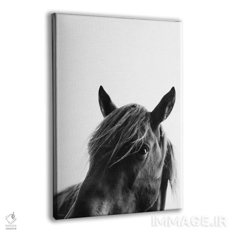 تابلو مدرن زیبایی سیاه اثر کوبیستیکا - نمای پرسپکتیو محصول