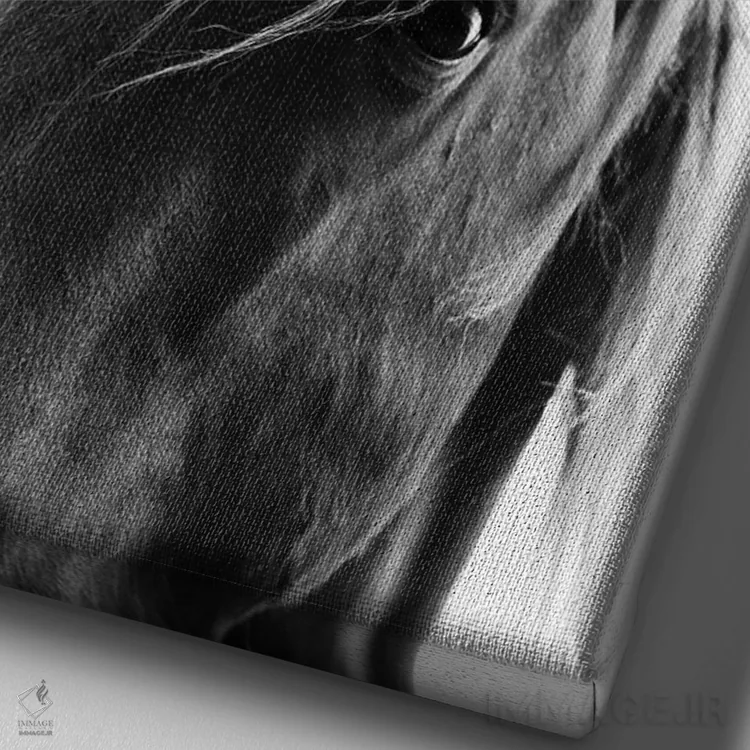 تابلو مدرن زیبایی سیاه اثر کوبیستیکا - نمای نزدیک بافت بوم