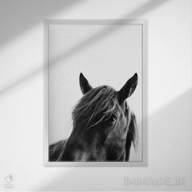 تابلو مدرن زیبایی سیاه اثر کوبیستیکا - نمای قابدار سفید