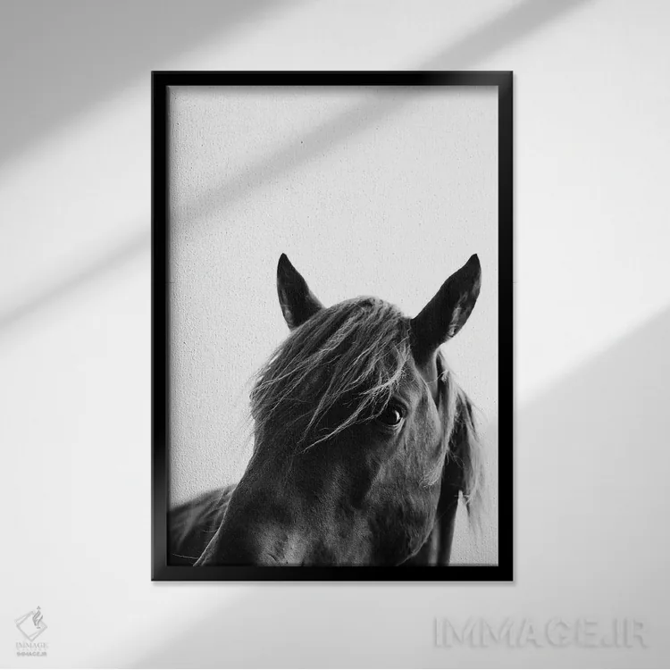 تابلو مدرن زیبایی سیاه اثر کوبیستیکا - نمای قابدار مشکی