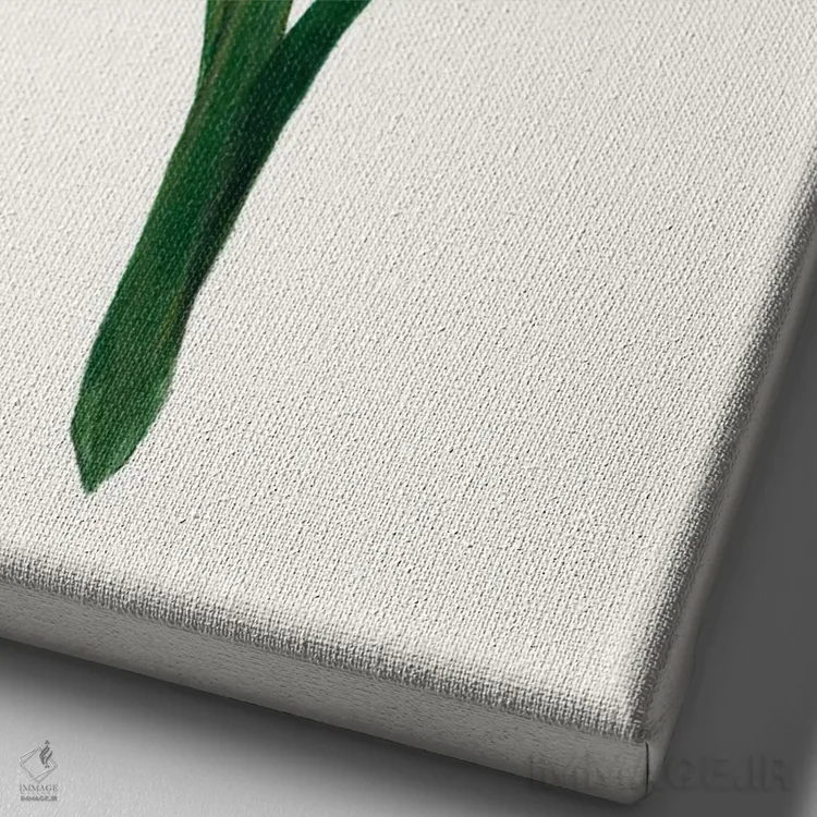 تابلو مینیمال سوسن روز روشن ۱ اثر کیلیگ وولد - نمای نزدیک بافت بوم