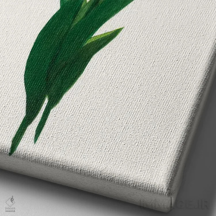 تابلو مینیمال لاله طلوع ۱ اثر کیلیگ وولد - نمای نزدیک بافت بوم