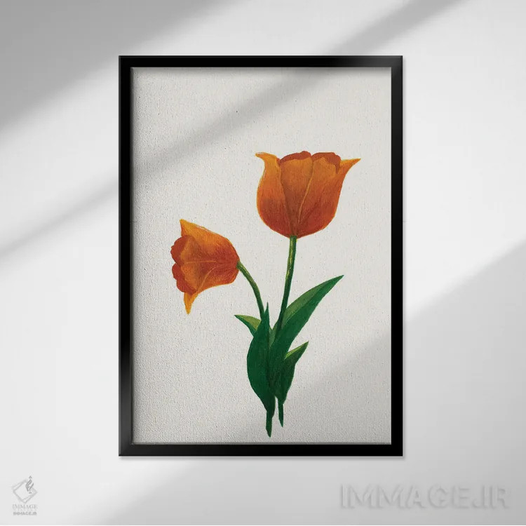 تابلو مینیمال لاله طلوع ۱ اثر کیلیگ وولد - نمای قابدار مشکی