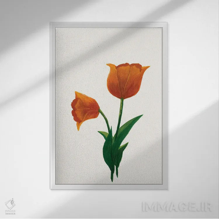 تابلو مینیمال لاله طلوع ۱ اثر کیلیگ وولد - نمای قابدار سفید