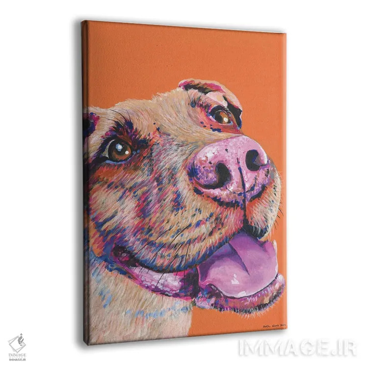 تابلو دکوراتیو پیت بول روی زمینه نارنجی اثر کیرستین وود - نمای پرسپکتیو محصول