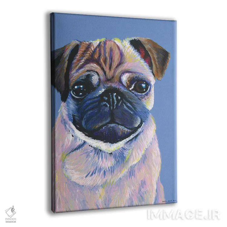 تابلو دکوراتیو پاگ روی زمینه آبی اثر کیرستین وود - نمای پرسپکتیو محصول