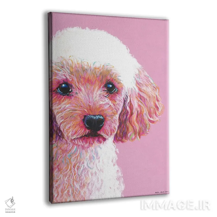 تابلو دکوراتیو پودل روی زمینه صورتی اثر کیرستین وود - نمای پرسپکتیو محصول