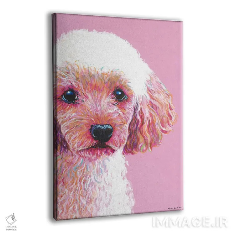 تابلو دکوراتیو پودل روی زمینه صورتی اثر کیرستین وود - نمای پرسپکتیو محصول