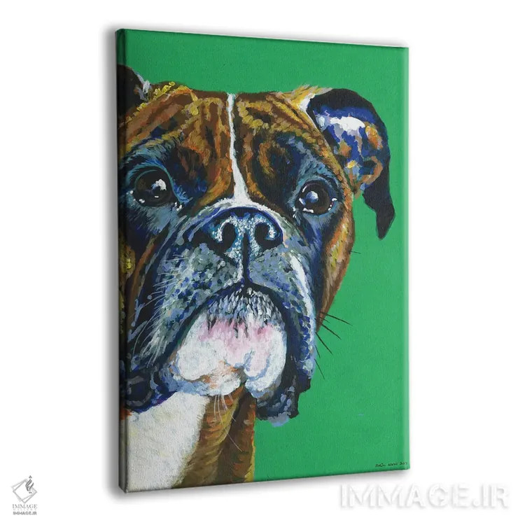 تابلو دکوراتیو باکسر روی زمینه زمردی اثر کیرستین وود - نمای پرسپکتیو محصول
