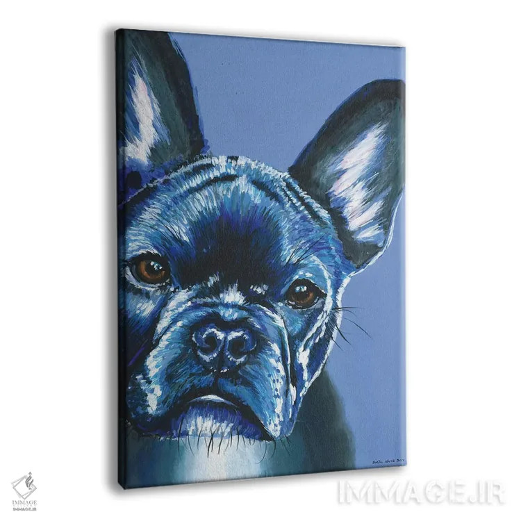 تابلو دکوراتیو فرنچ بولداگ روی زمینه آبی اثر کیرستین وود - نمای پرسپکتیو محصول