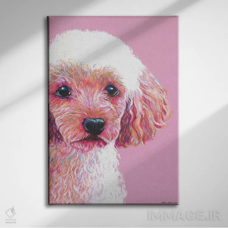 تابلو دکوراتیو پودل روی زمینه صورتی اثر کیرستین وود - نمای روبهرو روی دیوار