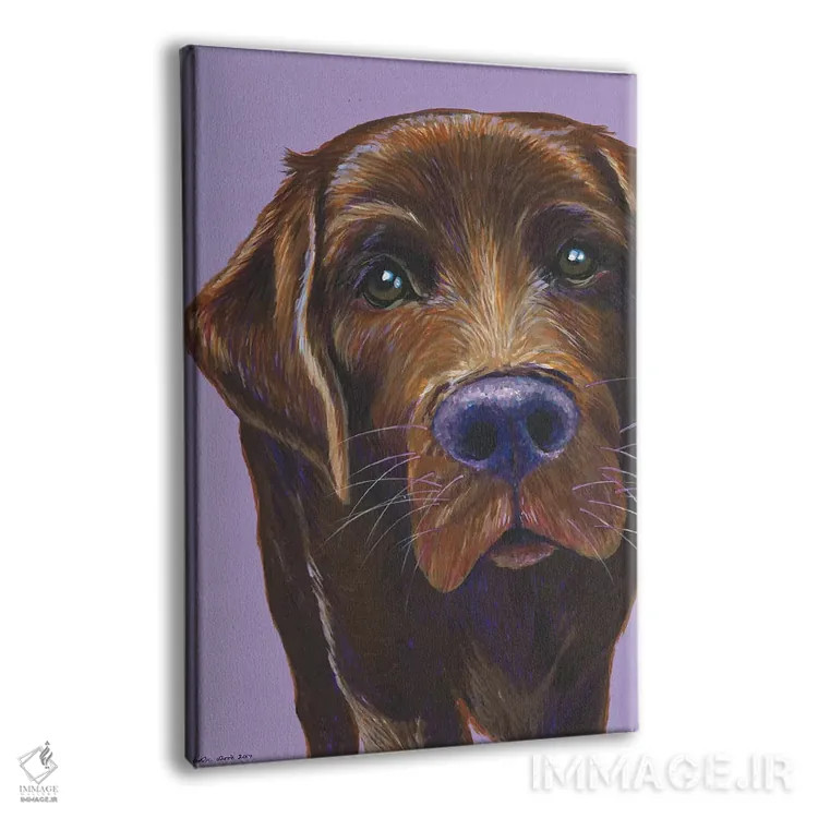 تابلو دکوراتیو لابرادور قهوه ای روی زمینه یاسی اثر کیرستین وود - نمای پرسپکتیو محصول