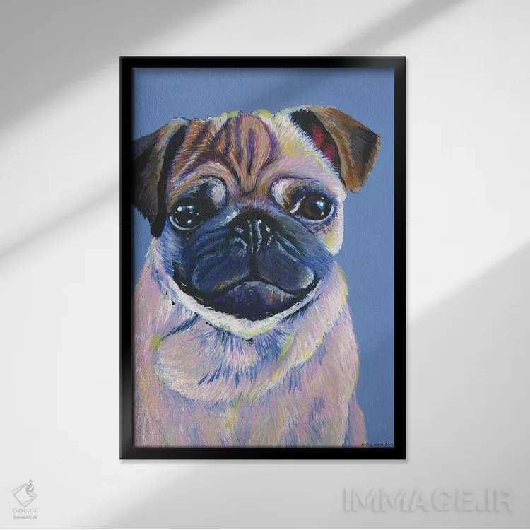 تابلو دکوراتیو پاگ روی زمینه آبی اثر کیرستین وود - نمای قابدار مشکی