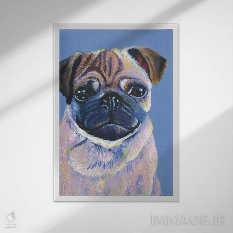 تابلو دکوراتیو پاگ روی زمینه آبی اثر کیرستین وود - نمای قابدار سفید