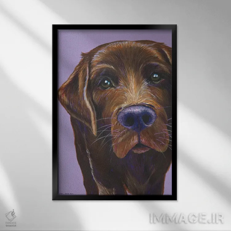 تابلو دکوراتیو لابرادور قهوه ای روی زمینه یاسی اثر کیرستین وود - نمای قابدار مشکی