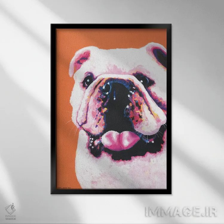 تابلو دکوراتیو بولداگ روی زمینه نارنجی اثر کیرستین وود - نمای قابدار مشکی