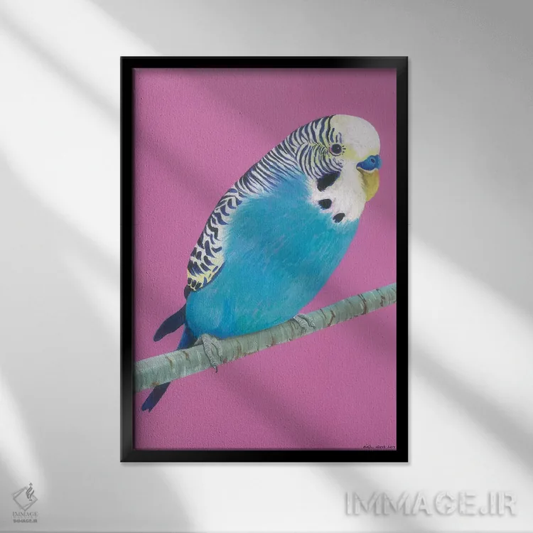 تابلو دکوراتیو مرغ عشق آبی اثر کیرستین وود - نمای قابدار مشکی