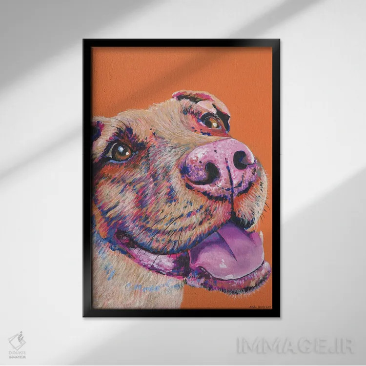 تابلو دکوراتیو پیت بول روی زمینه نارنجی اثر کیرستین وود - نمای قابدار مشکی