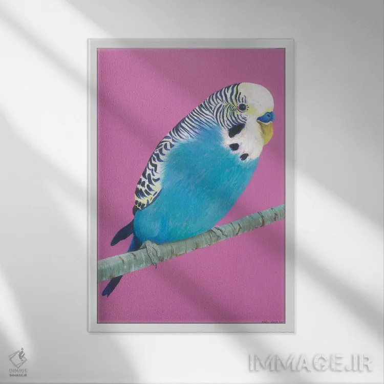 تابلو دکوراتیو مرغ عشق آبی اثر کیرستین وود - نمای قابدار سفید