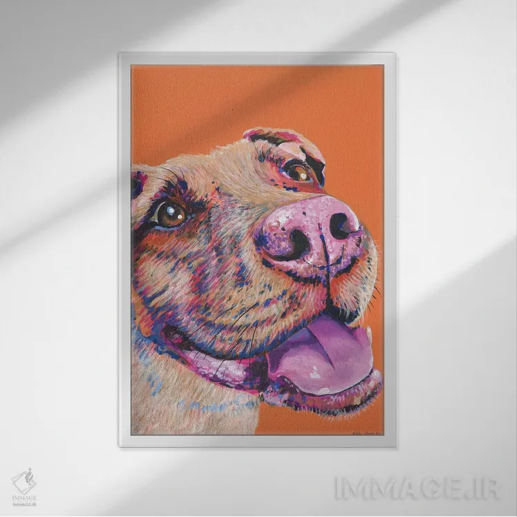 تابلو دکوراتیو پیت بول روی زمینه نارنجی اثر کیرستین وود - نمای قابدار سفید