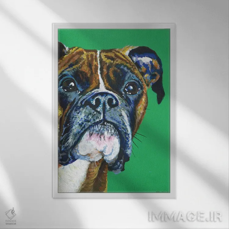 تابلو دکوراتیو باکسر روی زمینه زمردی اثر کیرستین وود - نمای قابدار سفید