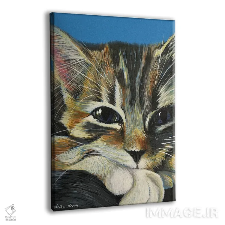 تابلو دکوراتیو گربه راه راه روی زمینه آبی اثر کیرستین وود - نمای پرسپکتیو محصول