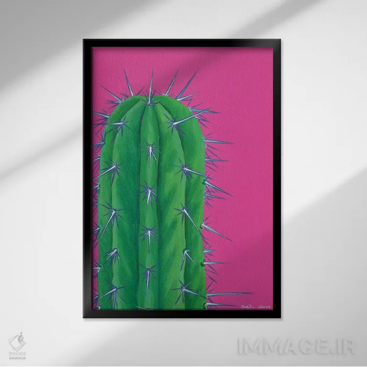 تابلو دکوراتیو کاکتوس تیغ دار اثر کیرستین وود - نمای قابدار مشکی