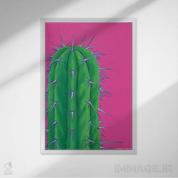 تابلو دکوراتیو کاکتوس تیغ دار اثر کیرستین وود - نمای قابدار سفید