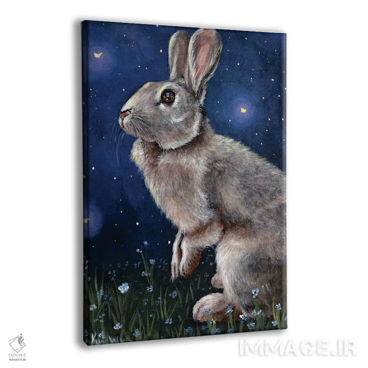 تابلو دکوراتیو خرگوش و کرم های شب تاب اثر کایرا ویلسون - نمای پرسپکتیو محصول