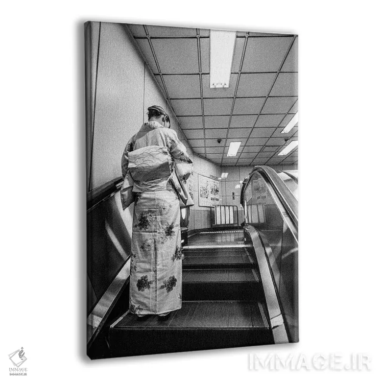 تابلو دکوراتیو گیشای مدرن اثر کنزو ایجیری - نمای پرسپکتیو محصول