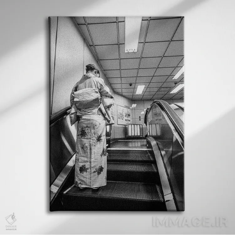 تابلو دکوراتیو گیشای مدرن اثر کنزو ایجیری - نمای روبهرو روی دیوار