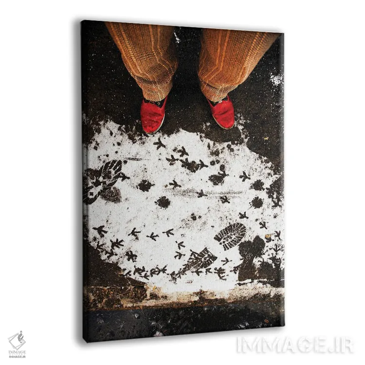 تابلو دکوراتیو رد پاها اثر کنزو ایجیری - نمای پرسپکتیو محصول