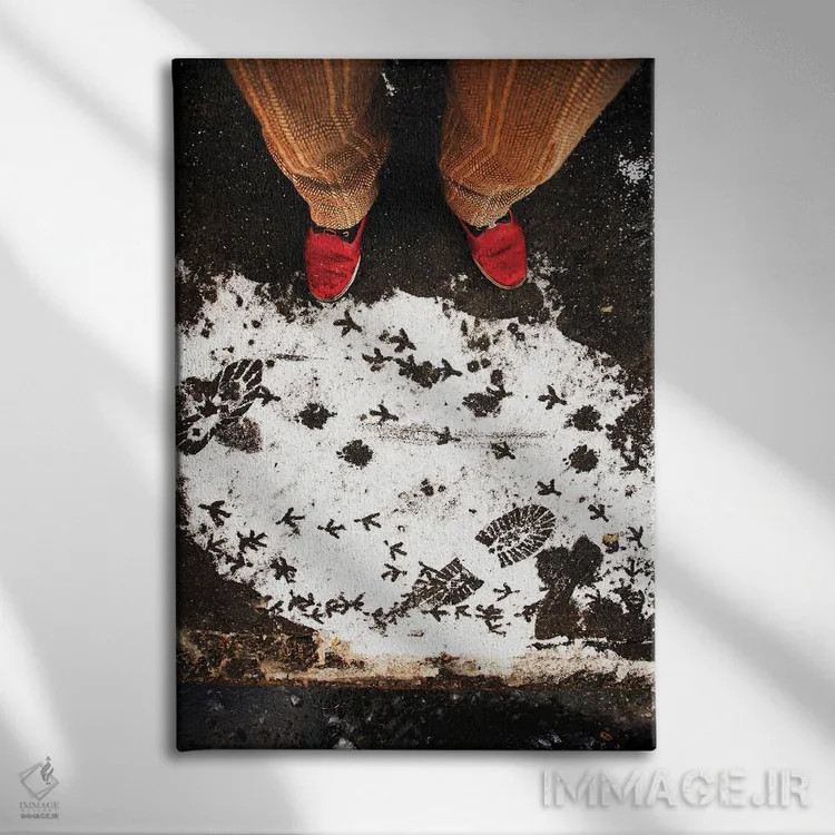 تابلو دکوراتیو رد پاها اثر کنزو ایجیری - نمای روبهرو روی دیوار