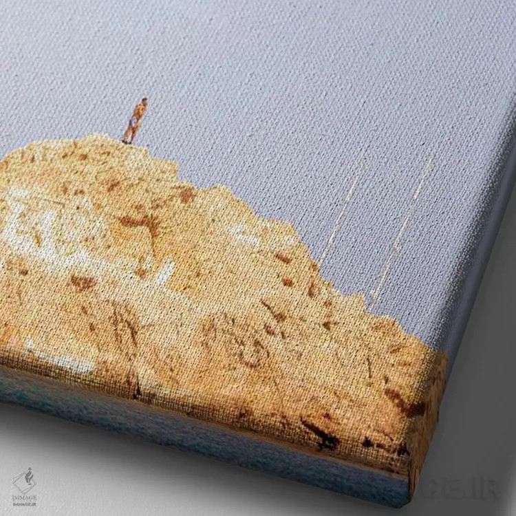 تابلو دکوراتیو منورکا اثر کنزو ایجیری - نمای نزدیک بافت بوم