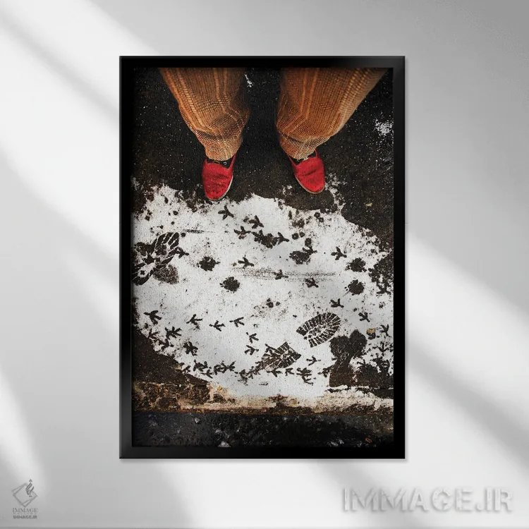 تابلو دکوراتیو رد پاها اثر کنزو ایجیری - نمای قابدار مشکی