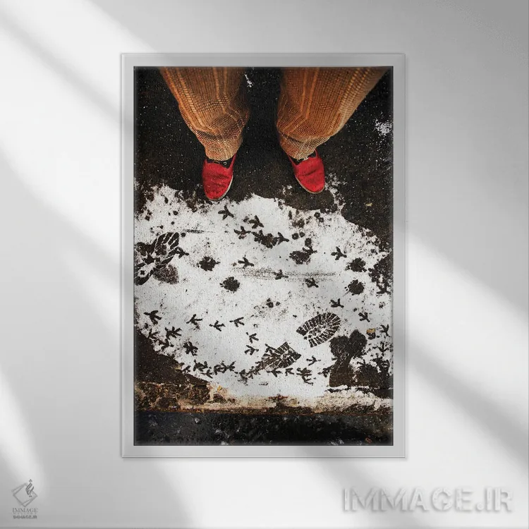 تابلو دکوراتیو رد پاها اثر کنزو ایجیری - نمای قابدار سفید