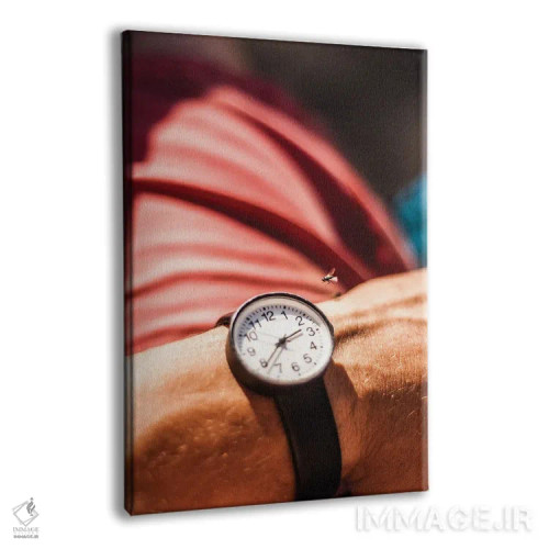 تابلو دکوراتیو زمان پرواز می کند اثر کنزو ایجیری - نمای پرسپکتیو محصول