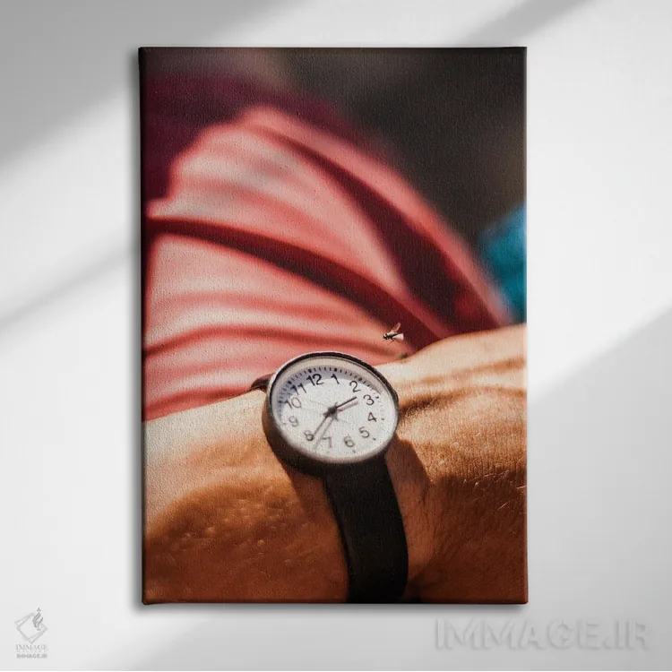 تابلو دکوراتیو زمان پرواز می کند اثر کنزو ایجیری - نمای روبهرو روی دیوار