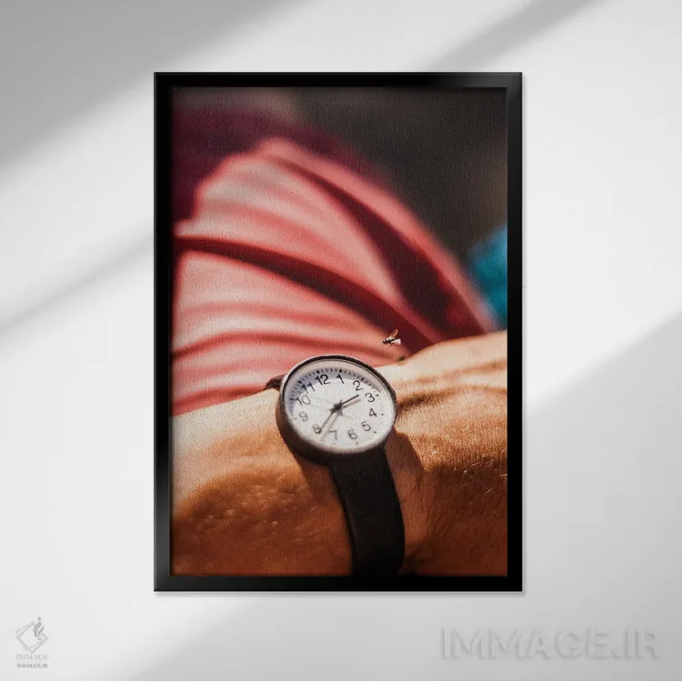 تابلو دکوراتیو زمان پرواز می کند اثر کنزو ایجیری - نمای قابدار مشکی