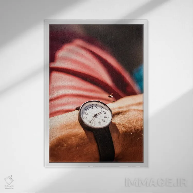 تابلو دکوراتیو زمان پرواز می کند اثر کنزو ایجیری - نمای قابدار سفید