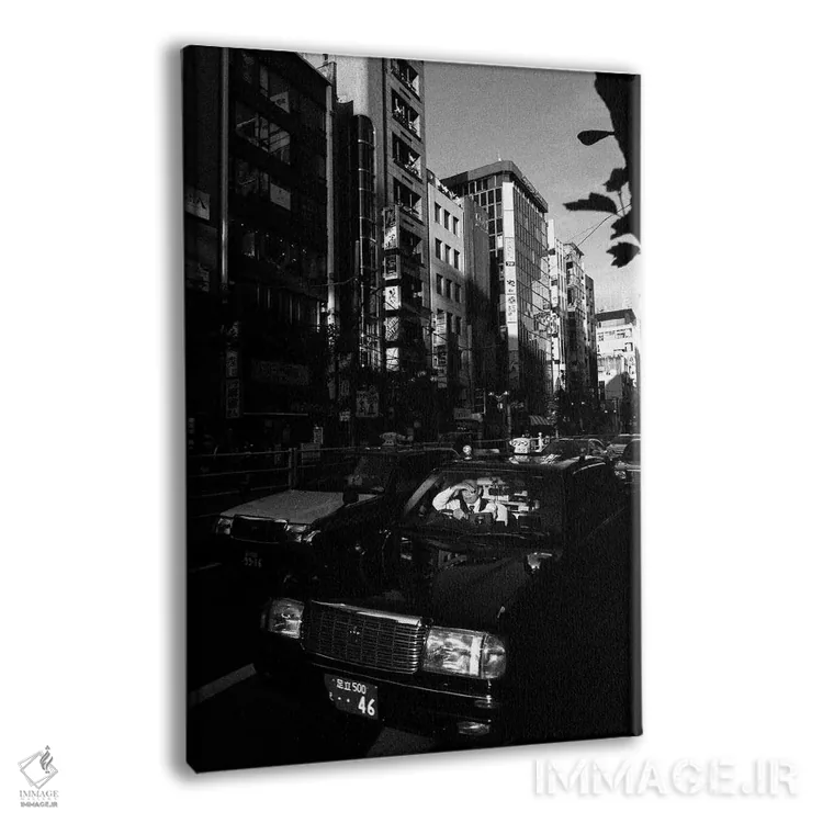 تابلو دکوراتیو کوموربی لعنتی اثر کنزو ایجیری - نمای پرسپکتیو محصول